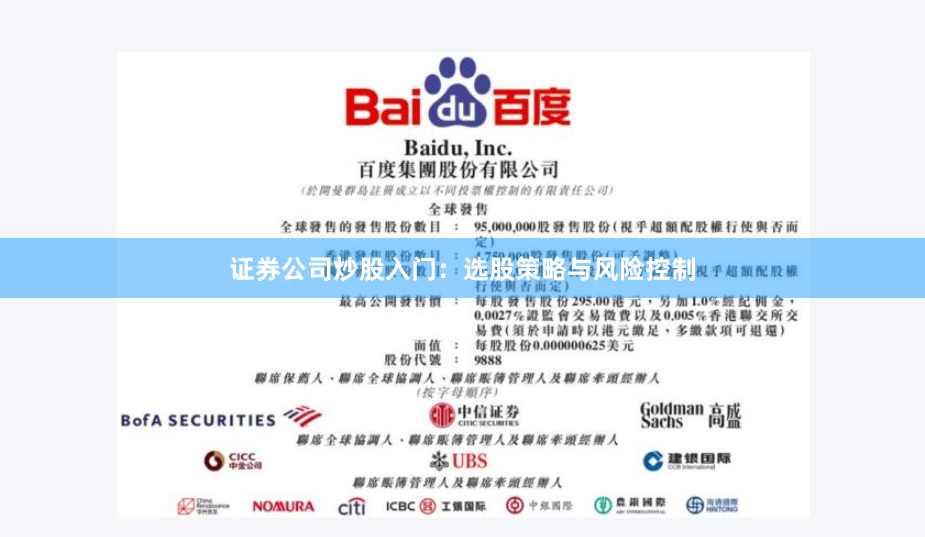 证券公司炒股入门：选股策略与风险控制