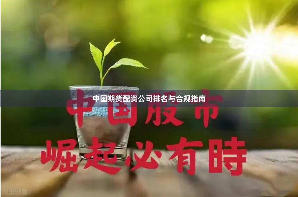 中国期货配资公司排名与合规指南
