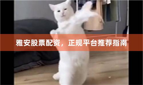 雅安股票配资，正规平台推荐指南