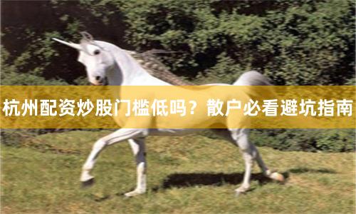杭州配资炒股门槛低吗？散户必看避坑指南